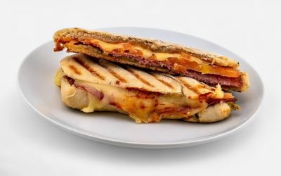 Steinofen-Panini mit Salami Steinofen-Panini mit Salami